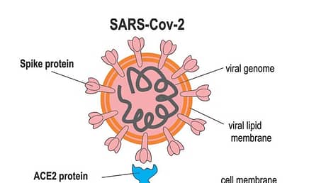 SARS — тяжелый острый респираторный синдром